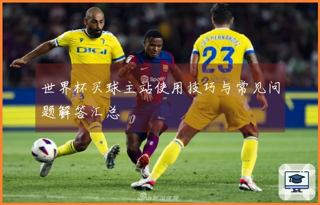 世界杯买球主站使用技巧与常见问题解答汇总