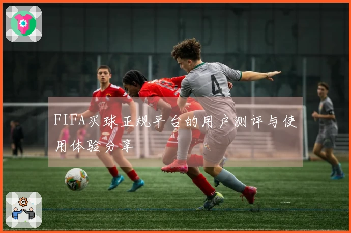 FIFA买球正规平台的用户测评与使用体验分享