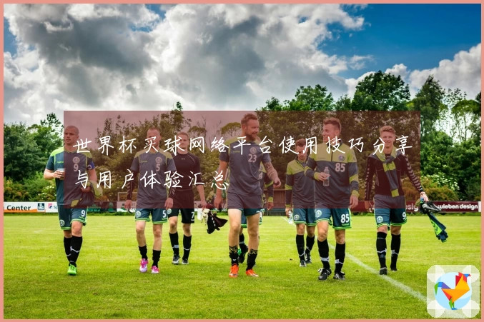 世界杯买球网络平台使用技巧分享与用户体验汇总