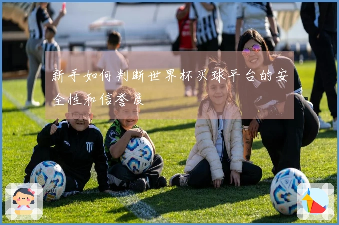 新手如何判断世界杯买球平台的安全性和信誉度