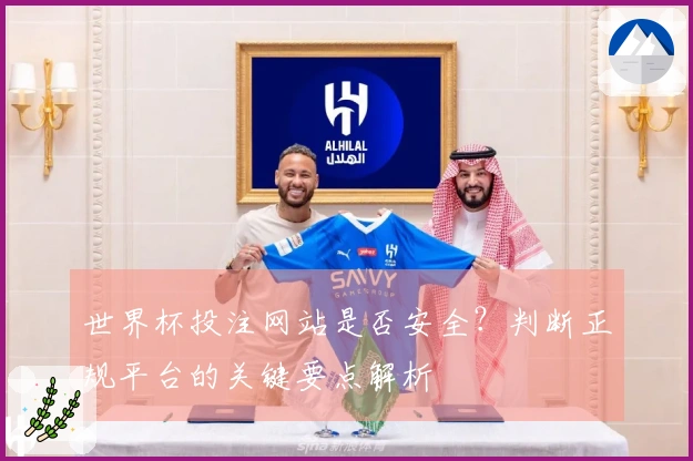世界杯投注网站是否安全？判断正规平台的关键要点解析