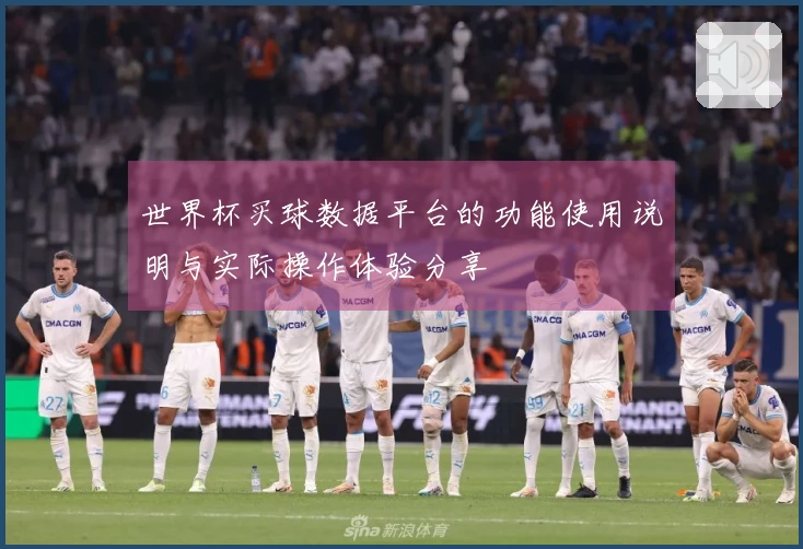 世界杯买球数据平台的功能使用说明与实际操作体验分享