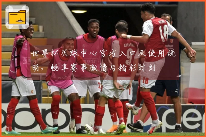 世界杯买球中心官方入口及使用说明，畅享赛事激情与精彩时刻