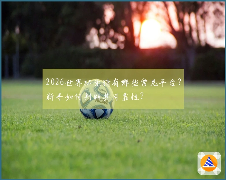 2026世界杯竞猜有哪些常见平台？新手如何判断其可靠性？