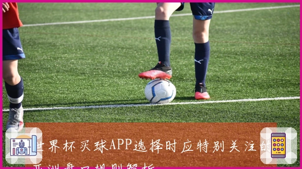 世界杯买球APP选择时应特别关注的亚洲盘口规则解析