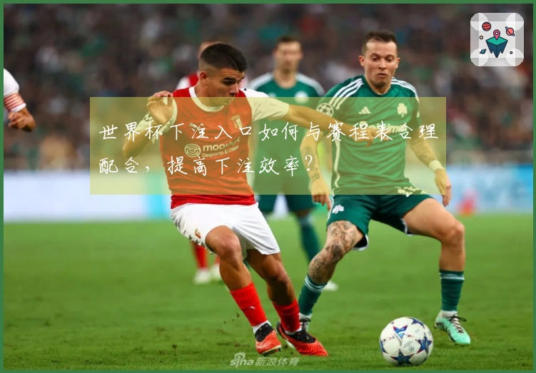 世界杯下注入口如何与赛程表合理配合，提高下注效率？