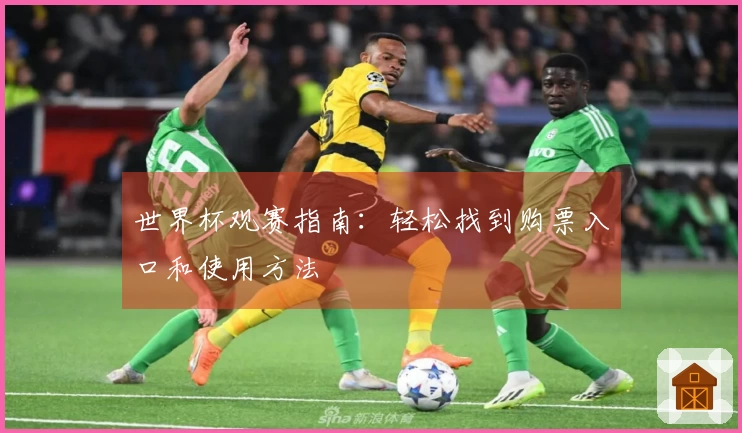 世界杯观赛指南:轻松找到购票入口和使用方法
