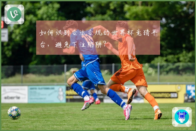 如何识别合法合规的世界杯竞猜平台，避免下注陷阱？