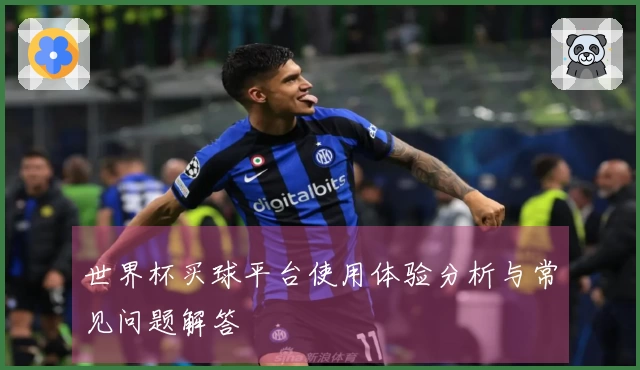 世界杯买球平台使用体验分析与常见问题解答