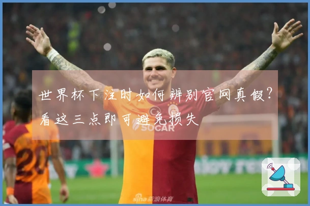 世界杯下注时如何辨别官网真假？看这三点即可避免损失