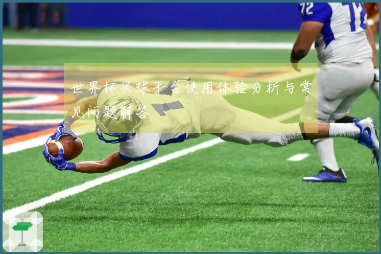 世界杯买球平台使用体验分析与常见问题解答