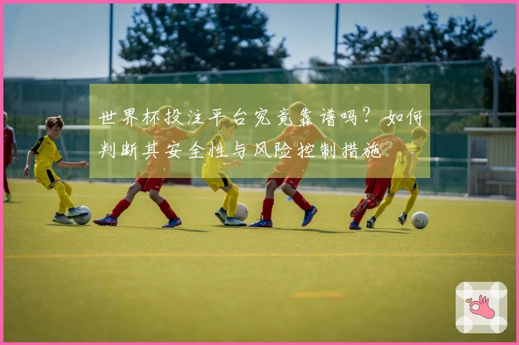 世界杯投注平台究竟靠谱吗？如何判断其安全性与风险控制措施