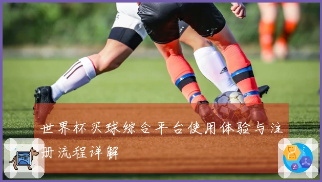 世界杯买球综合平台使用体验与注册流程详解