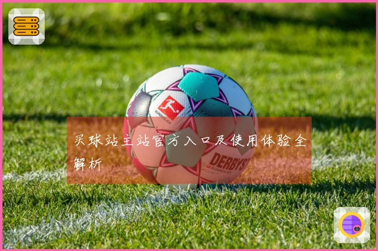 买球站主站官方入口及使用体验全解析