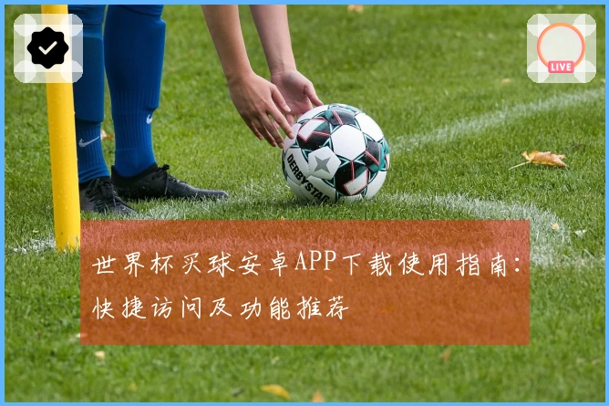 世界杯买球安卓APP下载使用指南：快捷访问及功能推荐