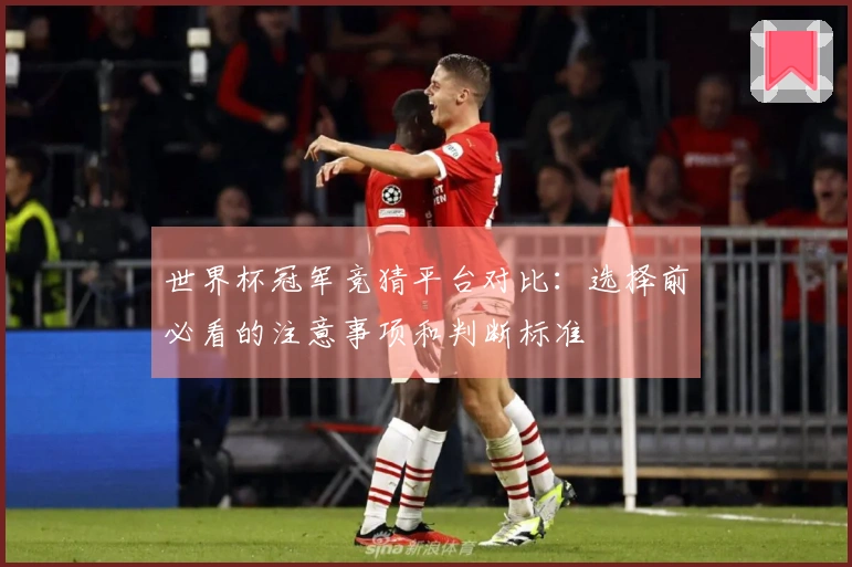 世界杯冠军竞猜平台对比：选择前必看的注意事项和判断标准