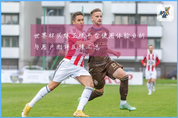 世界杯买球正规平台使用体验分析与用户测评反馈汇总