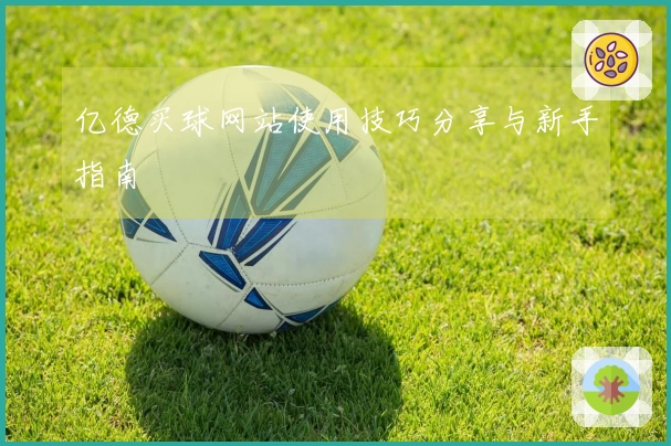 亿德买球网站使用技巧分享与新手指南