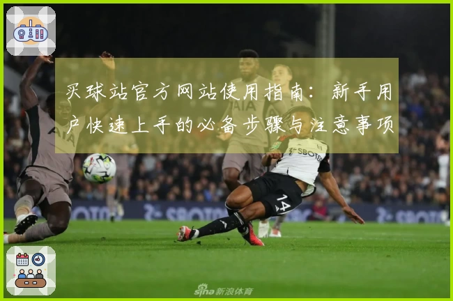 买球站官方网站使用指南：新手用户快速上手的必备步骤与注意事项